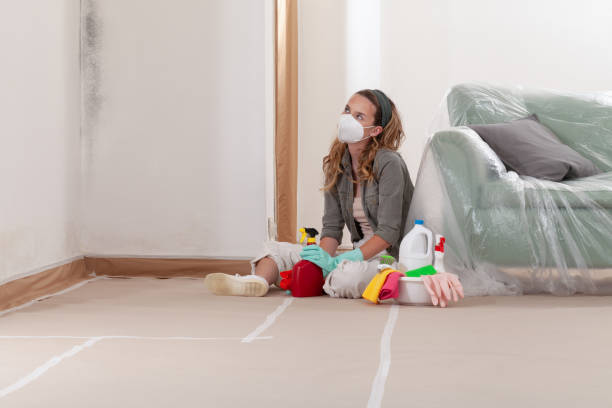 Reliable Mold Inspection And Testing contractor in Round Rock, TX by Car Mold Remediation